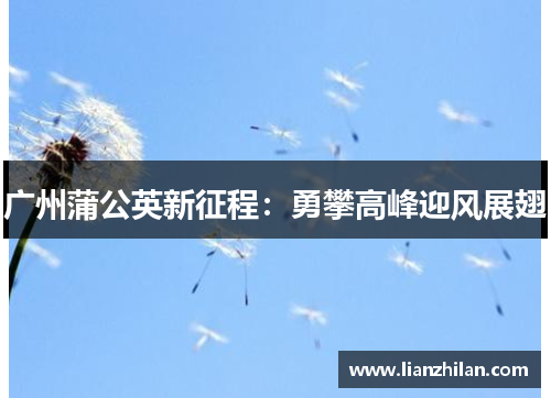 广州蒲公英新征程：勇攀高峰迎风展翅